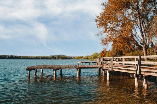 L'huile d'olive et le cholestérol : amis ou ennemis ?